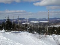 pitt 039.jpg