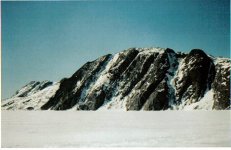 Image4.jpg