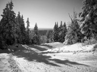 BW Quebec Snowmobiling 4.jpg