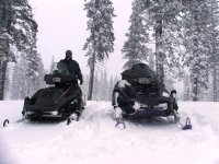 Both Sleds Yammi Forum.JPG