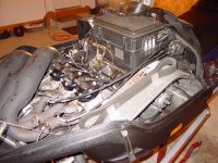 viper underhood small.jpg