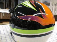 Cat Helmet (7).jpg