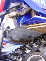 rear small01.JPG