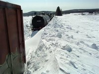 pic2 (Small).jpg
