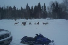 Picture 137 (Small).jpg