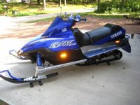 vipers summer 001.JPG
