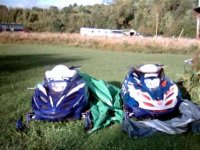sleds (Large) (Medium).jpg