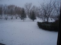 PC060014.JPG