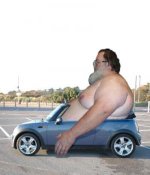 225629_fat_guy_in_car.jpg