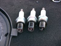 IMG_1374s.jpg