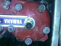 01202009080.JPG