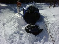 snow 2.jpg