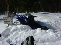 snow 3.jpg
