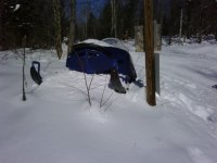 snowmobile1.jpg