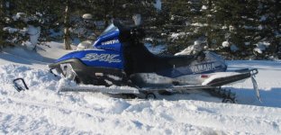 Viper 11.jpg