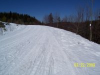 groom trail towards shinning tree.jpg