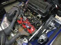 31549d19ebfa11cc1238474431.jpg
