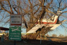 plane in tree.jpg