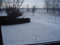 PC040303.JPG