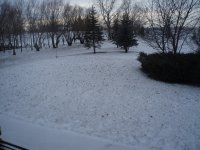 PC040304.JPG