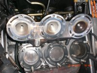 CIMG2352 (Medium).JPG