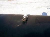 100_1235 (2) (Medium).JPG