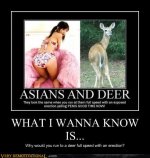 demotivational deer.jpg