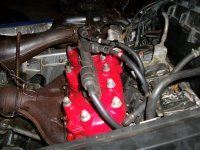 sxr 005.jpg