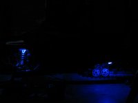 IMG_2569.JPG