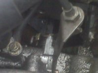 IMG00745.jpg