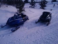 sleds (Medium).jpg