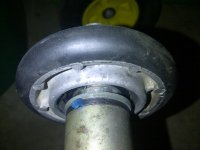 Cedar-20110629-00243.jpg