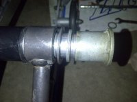 Cedar-20110629-00239.jpg
