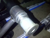 Cedar-20110629-00240.jpg