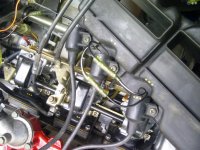 IMG-20110820-00066.jpg