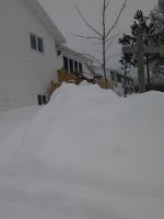 2012-03-06 14.31.59.jpg