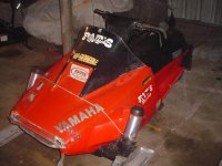 vintage sleds 230.jpg