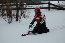 nov12 cannington cat tower yamaha sleigh 044.jpg