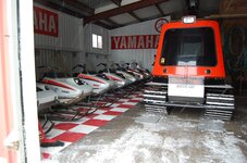 mar23 2011 cats train QUAD Cat 062.jpg