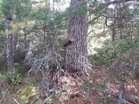 Sept 9 2025 (10) - Copy.jpg