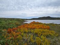 sept 9 25 (13) - Copy.jpg