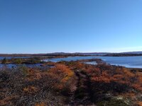 oct 29 25 (2) - Copy.jpg