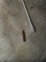 20251031_091055 (Small).jpg 20251031_091055 (Small).jpg