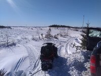 Feb 4 26 (1) - Copy.jpg