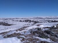 030626 (1) - Copy.jpg