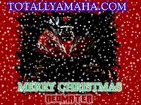 CHRISTMAS CARD.jpg