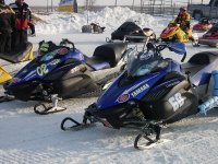 MDRatBeausejour_500_M.I.R.A..jpg
