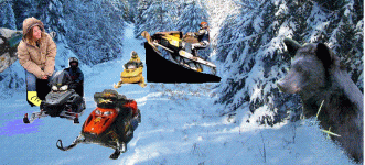 sledcollage.GIF