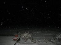 IMG_5714_2.JPG