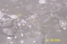 misc 016.jpg